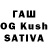 Галлюциногенные грибы GOLDEN TEACHER Jasmine Kazbek