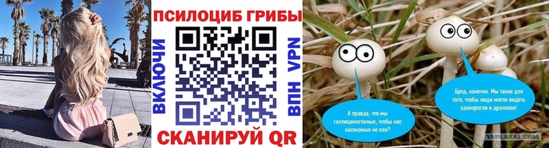 Псилоцибиновые грибы MAGIC MUSHROOMS  купить наркотик  Нязепетровск 